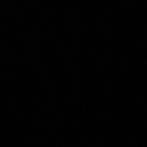 Meet your Posher, Bailey